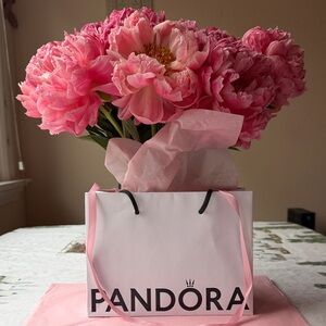 🌸 🎀🌸 PANDORA GIFT BAG WITH RIBBON 🌸🎀🌸
